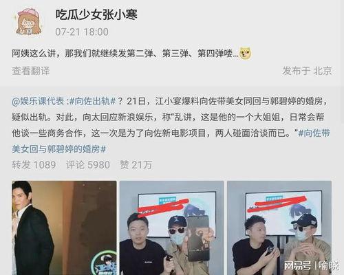 向佐狗仔爆料视频大全集,揭秘娱乐圈幕后真相